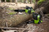 Аккумуляторная Цепная пила Greenworks G-MAX 40V (30 см) G40CS30 в Екатеринбурге