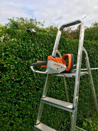 Мотоножницы STIHL HSA 56 в Екатеринбурге