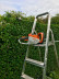 Мотоножницы STIHL HSA 56 в Екатеринбурге