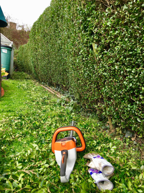 Мотоножницы STIHL HSA 56 в Екатеринбурге