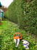 Мотоножницы STIHL HSA 56 в Екатеринбурге