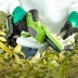 Цепная мини пила аккумуляторная Greenworks GD24CSMNX, 24V c 1хАКБ 2Ач и ЗУ в Екатеринбурге