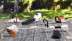 Мотокоса STIHL FSA 56 с AK  10 и AL 101 в Екатеринбурге