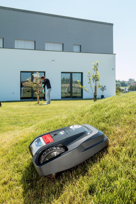 Газонокосилка-робот solo by AL-KO Robolinho® 1000 в Екатеринбурге