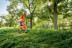 Мотокоса STIHL FS 250 в Екатеринбурге