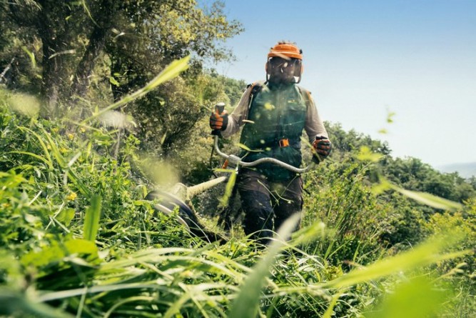 Мотокоса STIHL FS 250 в Екатеринбурге