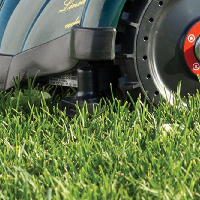 Газонокосилка-робот Caiman AMBROGIO L50 BASIC в Екатеринбурге