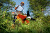 Мотокоса-кусторез STIHL FS 560 C-EM диск пильный 225 мм в Екатеринбурге
