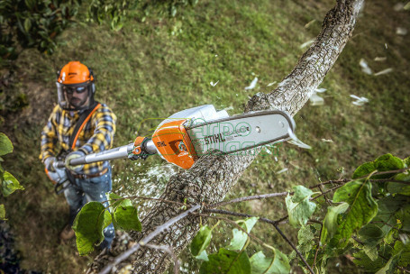 Аккумуляторный высоторез STIHL HTA 85 с AP 300 и AL 300 в Екатеринбурге