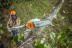 Аккумуляторный высоторез STIHL HTA 85 с AP 300 и AL 300 в Екатеринбурге